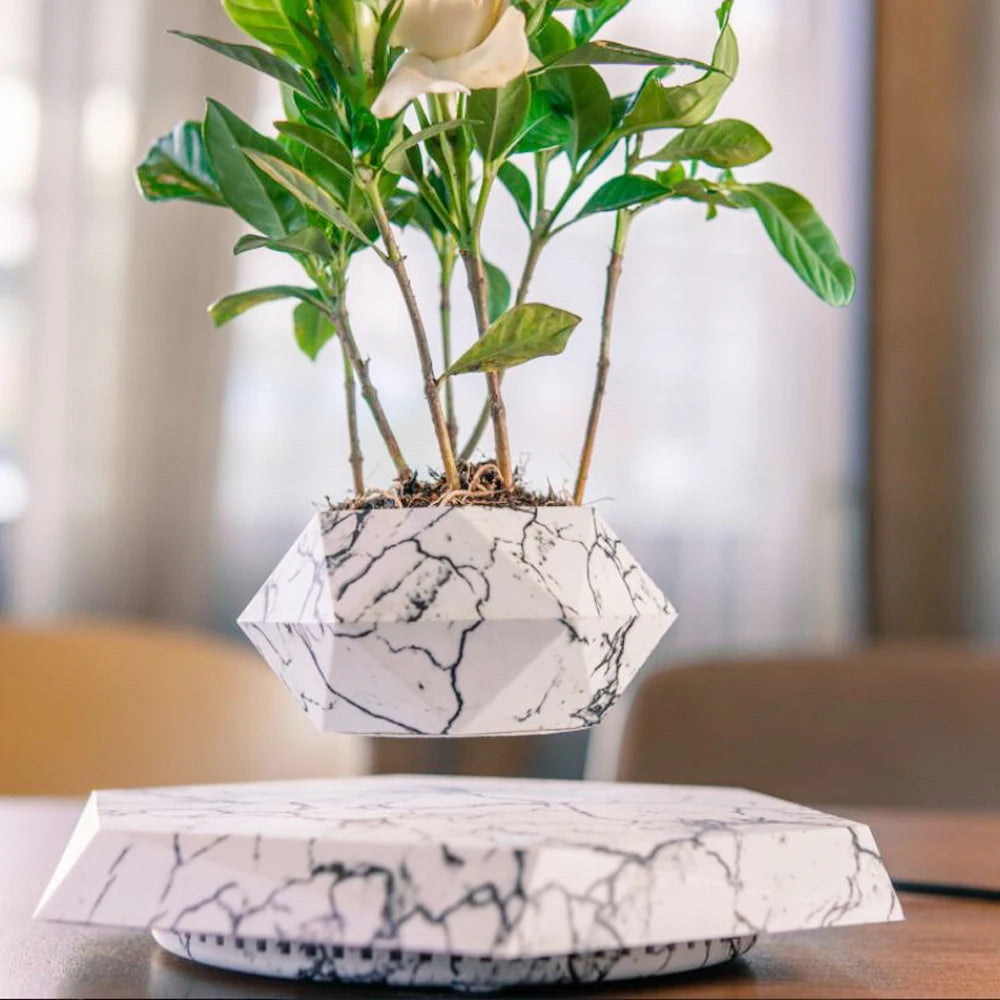 Floating bonsai pot